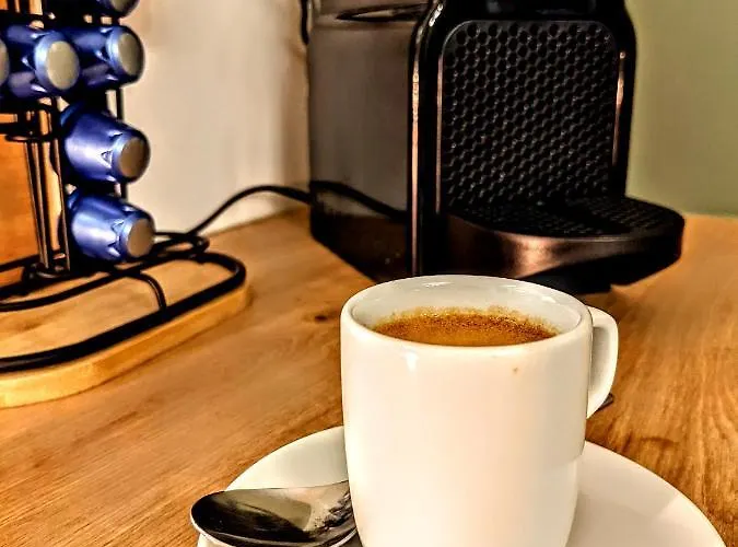 Appartement Champollion Albi