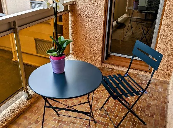 Champollion Appartement Albi